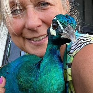 Meet your Posher, Sherry
